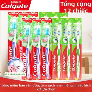 Colgate | Bàn Chải Răng Bảo Vệ Nướu và Tẩy Mảng Bám cho Người Lớn