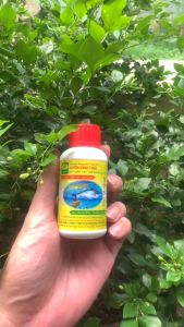 Chế phẩm sinh học nuôi Cá Tôm - Nở ruột chắc thịt lớn nhanh - Ngăn chặn các bệnh về đường ruột