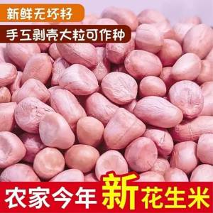 Fresh White Sand Peanut 5 Kilograms