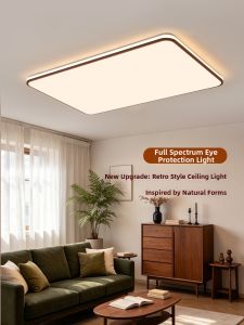 DGY | Modern Simple Elegant Eye-protection Ceiling Light For Living Room