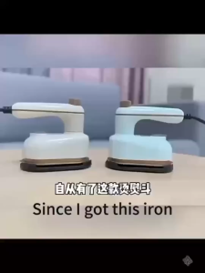 2in1 Steamer Iron Mini Portable Iron for Clothes Hanging Handheld Foldable Flat Iron Steamer