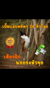 เสียงนกกรงหัวจุกเบิ้ลแม่บทชัดๆ เสียงฝึกนก USBแฟลชไดร์ฟเสียงฝึกนก เสียงดี ชัด100% ไม่มีโฆษณาแทรก (MP3 เสียงสัตว์)