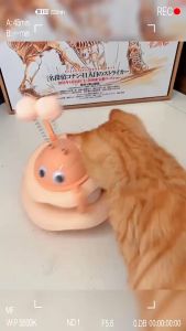 YTL ของเล่นแมว เสริมพัฒนาการ ไม่ล้ม แมวจะเล่นเอง Tumbler