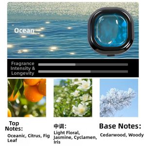 Natural Plant Car Air Freshener Long-Lasting Scent