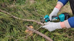 กรรณ์ไกรไฟฟ้าและเครื่องตัดหญ้ากรุงไฟฟ้ามากแค่ Makita กรรณีสำหรับการจัดส่งที่ระบรรยาย 2 วันบน COD