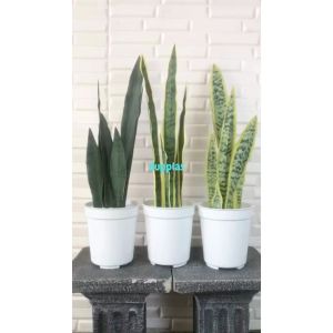 Pohon Artificial Daun Lidah Mertua X5 Latex Pot Effiel Putih Plastik Tanaman Sansevieria Hias Imitasi Pajangan Dekorasi Ruangan Rumah Kantor Home Decor Aesthetic