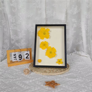 DIHUANTUO | Wooden 3D Hollow Frame Flower Specimen Display