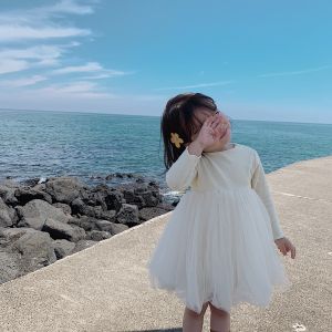 Princess Style Mesh Skirt Childrens Dress Spring Autumn New Arrival Cotton Blend Fabric Cake Skirt Long Sleeve Baby Girl Clothes