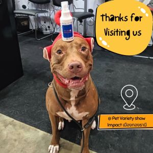 Paw & Pal แชมพูสูตรบำรุงผิวและขน Deodorizing Pet Shampoo&Conditioner Silky&Soft 300ml.