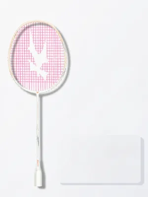 Bộ Vợt Cầu Lông Li-Ning Thunder 9 Và Kason Haotian Hammer 8 Sợi Carbon