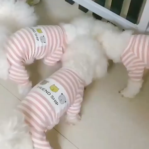 Áo liền quần có tay cho Chó Mèo bằng vải thun 4 chiều Friendship - Love Pet Shop