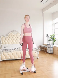 SG [READY STOCK] Waist Twisting Machine Home Loss Fitness Exercise Slimming Weight Management