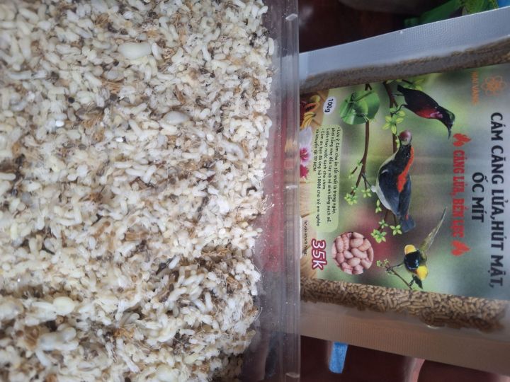 combo%205goi%20c%C3%A1m%20c%C4%83ng%20l%E1%BB%ADa%20h%C3%BAt%20m%E1%BA%ADt%20v%C3%A0%20%C3%B3c%20m%C3%ADt%20-%20Image%203