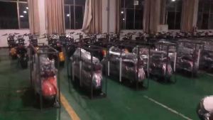 Harem Electric Bicycle Lithium Battery Car Scooter Motorcycle Large Harley Electric Vehicle