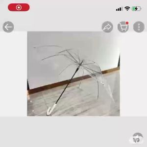 CHB High quality transparent umbrella windproof and waterproof