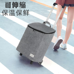 Collapsible Insulated Shopping Cart