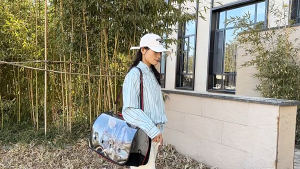 Portable dog crate & cat carrier | lightweight summer space capsule design | travel essential