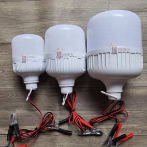 Bóng Đèn 12v Kẹp Bình Chống Nước