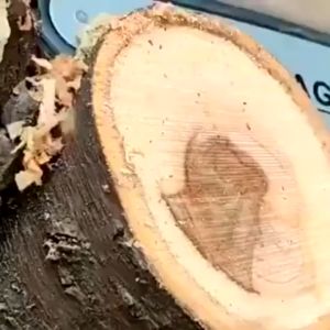 เลื่อยไฟฟ้า เลื่อยโซ่ไฟฟ้า 6inch Makita Chainsaw Logging Saw Household Small Handheld รับประกัน 30 วัน ครบชุด เครื่องตัดไม้ 6 นิ้ว