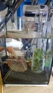 วัสดุกรอง 12 in 1 วัสดุกรองตู้ปลา เซรามิกริง วัสดุกรองกรองน้ำตู้ปลา บำบัดน้ำใส ลดของเสีย มาพร้อมถุงซิบ