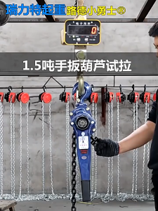 Complete Manual Hoist Kit: Hand-Operated Hoist Hand-Cranked Chain Hoist Crane Hand Lever Wire Tensioner & Tensioning Device