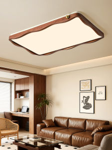 DGY | Simplistic Retro Walnut Color Ceiling Light for Hallway and Bedroom High Brightness Eye-Protective