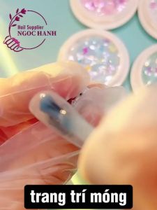 Kim tuyến bột bướm trang trí móng – PN005