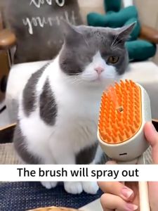 3 In 1 Cat Steamy Brush Electric Anti-splashing Cat Brush Cat Hair Brushes For Massage Pet Grooming Comb Hair Removal Combs