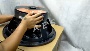 Woofer Speaker TE-18PRO Tosunra 2000Watts Double Magnet Speaker