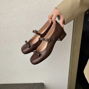 Sweet Butterfly Knot Slip-On Womens Shoes Chunky Heel Korean Style Mary Janes Fashionable Spring New Fairy Style Flat Pumps