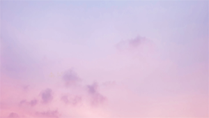 OPPO Reno 13 Pro | OPPO Reno 13 Mediatek Dimensity 8350 AMOLED Straight Screen 120Hz IP69 Dual SIM OPPO Smartphone OPPO AI Phone OPPO Reno13 Pro