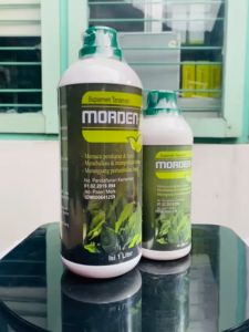 Suplemen Tanaman MORDEN-FOL oleh Mitra Merdeka Tani