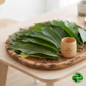 Daun srikaya daun nona srikaya segar 300 gram-az