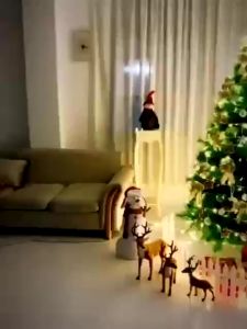 50M/300L Solar String Christmas Light Outdoor Waterproof Christmas Decoration