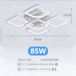 IRALAN LED Ceiling Light Fixture Flush Mount Ceiling Chandelier Ceiling Lamp for Kitchen Bedroom Study Living Room Bedroom