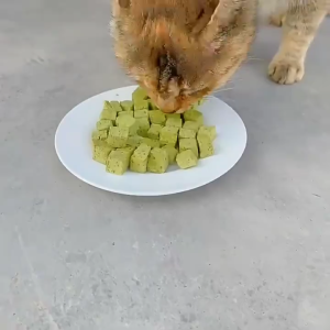 Freeze-Dried & Air-dried Cat Treats || Bites Pet Snacks || Natural Treats 30g