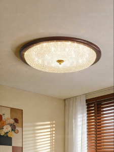 FANCY LAMP CLUB | Modern Retro Style Bedroom Ceiling Light Full Spectrum Eye-protection Luxurious