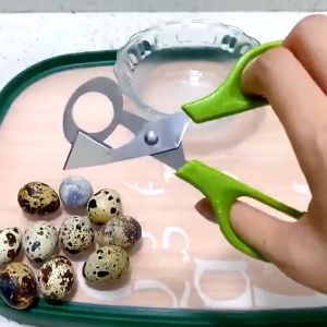 ผักไข่ กรรณะกรรไกรตัดเปลือก เปลือกไข่นกกระทา เปลือกไข่ขนาดเล็ก No.Y1186