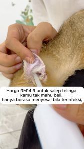 Pencuci Telinga untuk Kucing dan Anjing Pembersih Telinga - Berasaskan Air - Kutu Telinga Kucing/Kutu Telinga | Ear Cleaner Pet Ear Drops Universal Ear Mite Deodorization and Anti-itching Cleansing