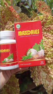 jual MAXDALES Obat Herbal Membantu Pemulihan Stroke Kolesterol Darah Tinggi