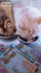 CICI Pouch Grain Free 85gr Catfood Sachet - Makanan Basah Kucing Cici