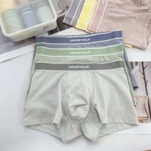 Antibacterial Pure Cotton Boxer Shorts for Men Youth Style Comfortable Breathable Large Size Anti Chafing Flat Angle Pants