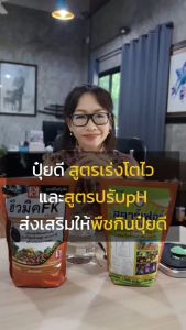 ปุ๋ยลิ้นจี่ โตไว ใบเขียว แข็งแรง ดินดี รากแข็งแรง พืชกินปุ๋ยได้ดีขึ้น ฮิวมิคFK และปุ๋ยสตาร์เฟอร์