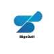 BigsGall
