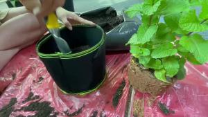 5 10 20 Gallon Felt Grow Bags Thickened Non-Woven Vegetable Saplings Potato Tree Planting Bags Tree Foldable Planting Buckets