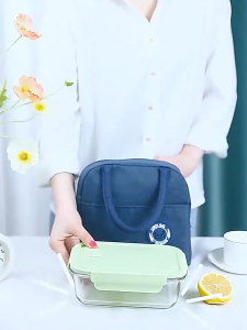 Cute Bear Insulated Lunch Bag 4L - Thick Oxford Fabric Thermal Food Container Carrier for Office School Picnic