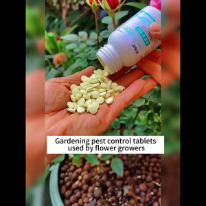 🌼2-in-1 Insecticide and Fertilizer🌼Pesticides for plants 200 tablets Plant fertilizer racun serangga perosak tanaman ( Kills spider mites mealybug Provides Nutrients and Promotes Flowering ) Racun serangga tanaman Neem oil for plant 植物肥料 园艺除虫片 绿植杀虫片