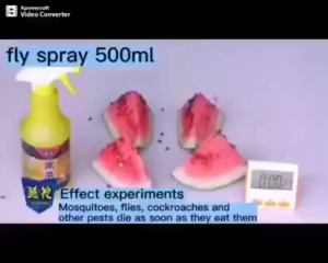 Fly Spray Fly Killer Kills Flies Fly Killer Bait Buy 1 Take 1 Effective Duration Hours Outdoor For Poultry Quick Kill Fly Nemesis Insecticide Spray Effective Fly Killing Bait Fly Killer Spray For Animal Husbandry Harmless To Humans and Animals for Home