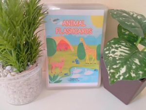 Animal Flashcards (  31 PCS )