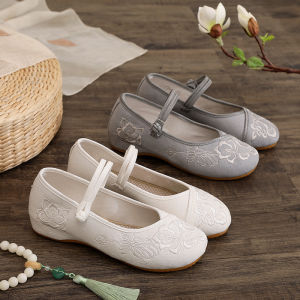 Low Heel Embroidered Hanfu Shoes Womens Spring Summer Beijing Style Canvas Shoes National Fashion Work Shoes Tea Artiste